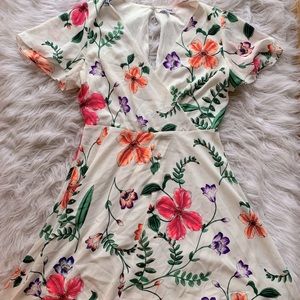 Express knee length dress